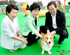 会場で犬とふれあう 斉藤鉄夫